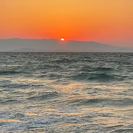 Merlin Karaburun (Izmir)