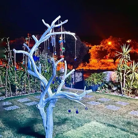 Merlin Karaburun (Izmir)