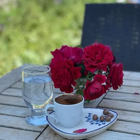 شقة فندقية Merlin 3*