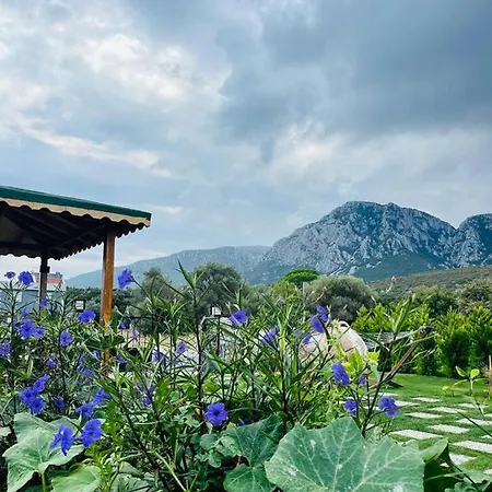 Merlin Appart hôtel 3*