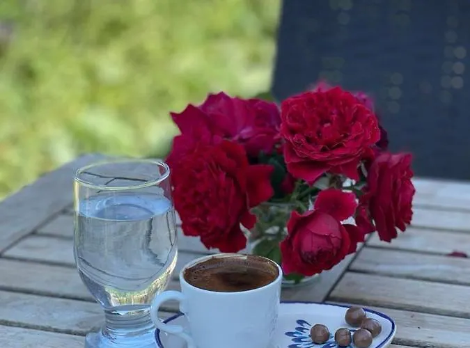 Aparthotel Merlin 3*