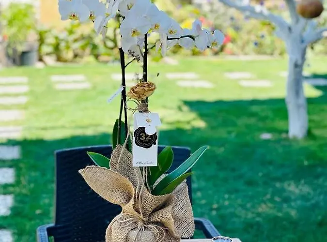 Merlin Aparthotel 3*