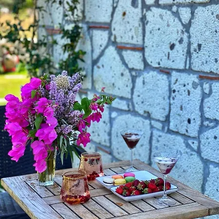 Merlin 아파트호텔