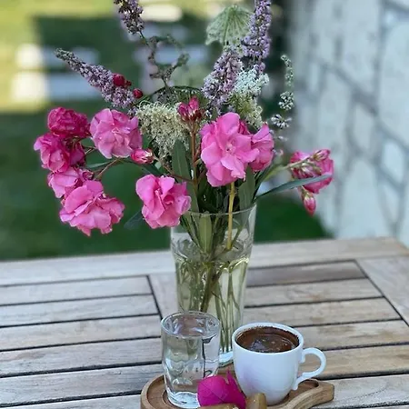 Merlin 3* 카라부룬