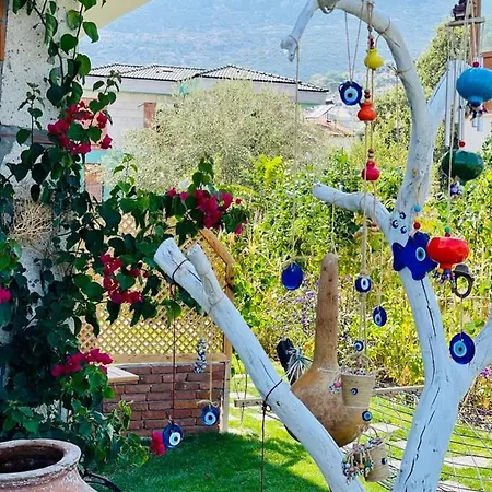 Merlin * Karaburun (Izmir)