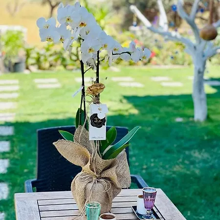 Merlin 아파트호텔 3*