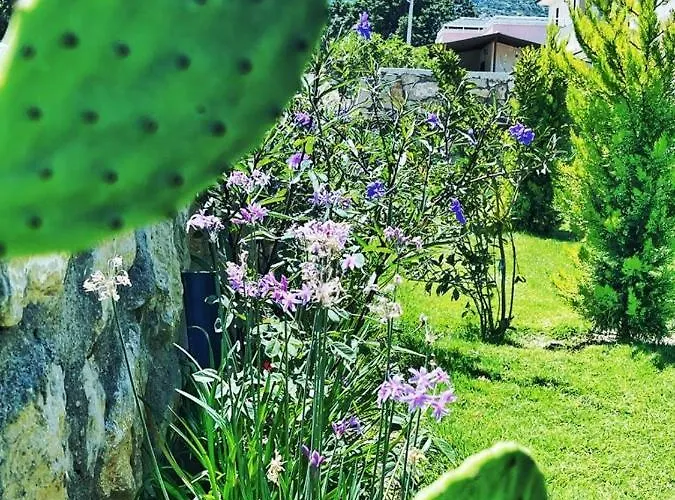 Lejlighedshotel Merlin 3*